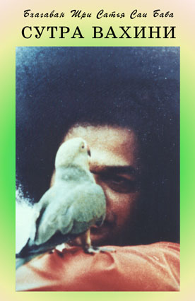 ����� ������